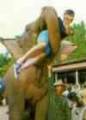 Beach resort clime and clothing